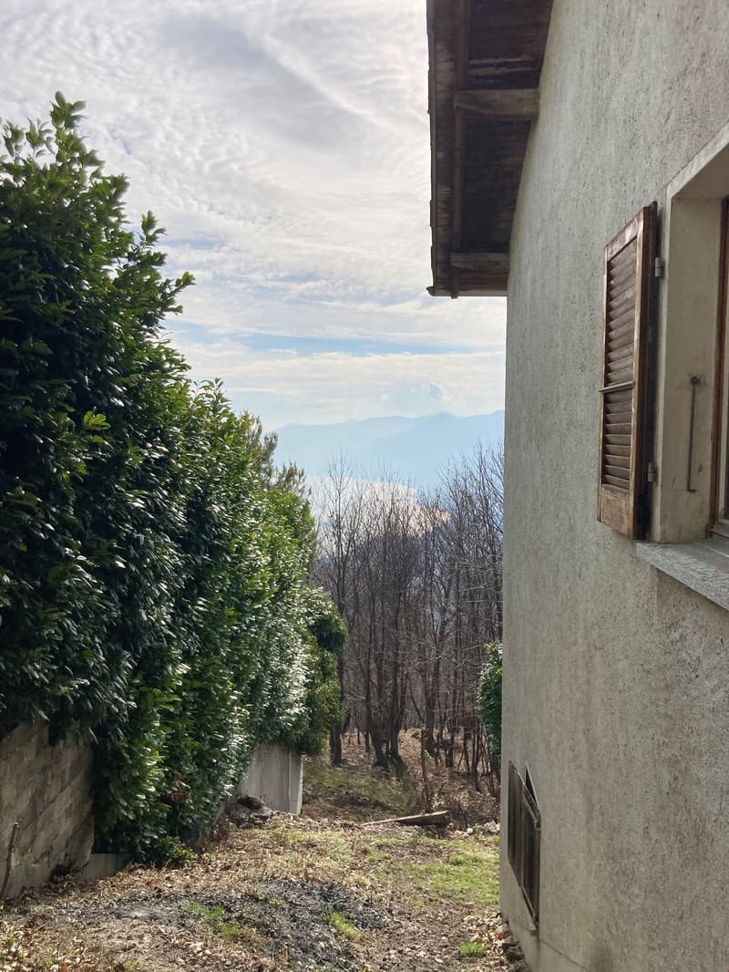 Haus zum renovieren in Monte Brè (13)