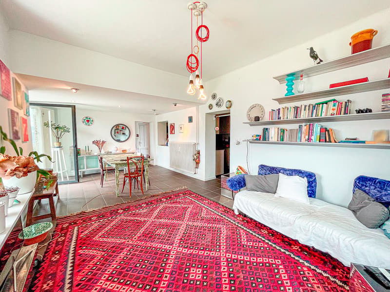 Large red rug, white walls, two blue couches, coffee table, hanging lamps, dining table with chairs, shelves with books and decorative items, plants in pots, mirrors, radiator, open door leading to another room
