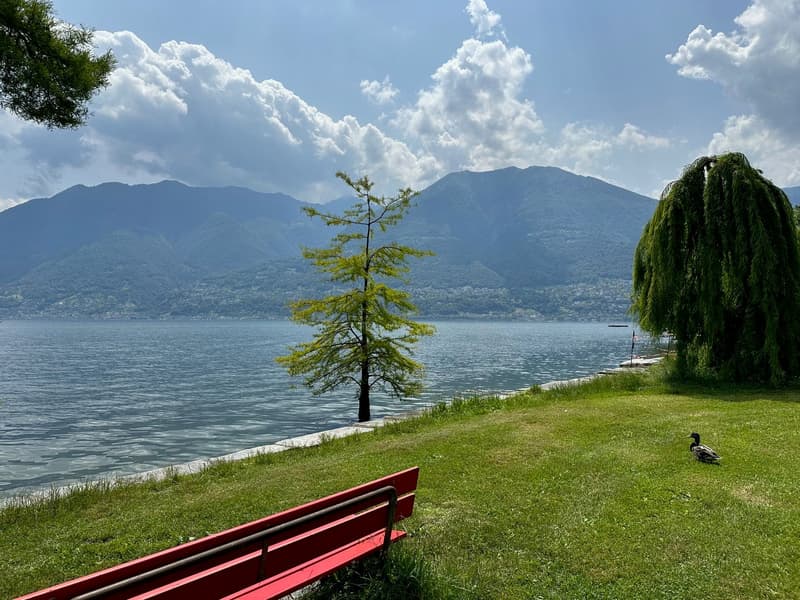 3-1/2 Zimmerwohnung mit Garten und Seeblick / 3.5 con giardino (24)