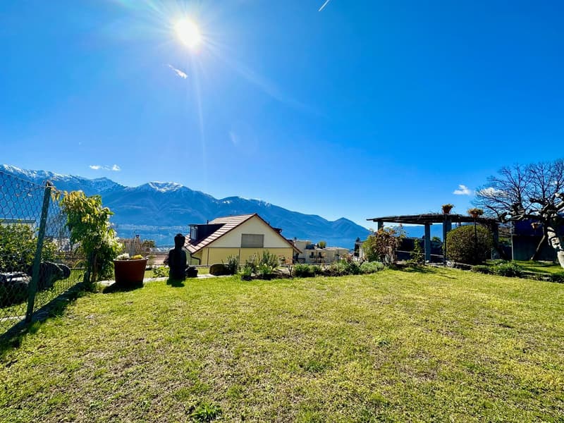 Large open grass lawn, plants, mountains in the background, bright weather