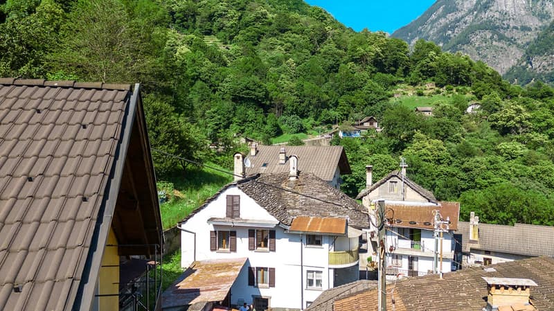 Houses in a mountainous area, with trees and mountains in the background