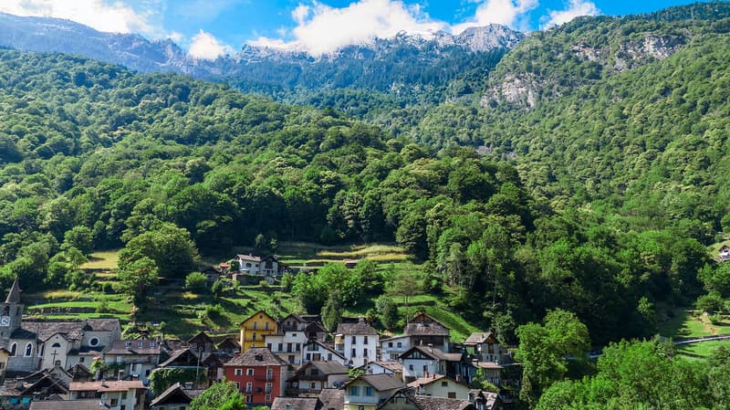 Mountain village houses surrounded by lush greenery and mountains in the background