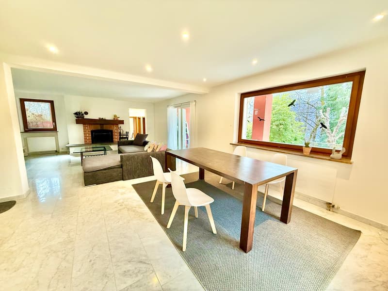 marble floor, table with chairs, living room, fireplace, couch, rug