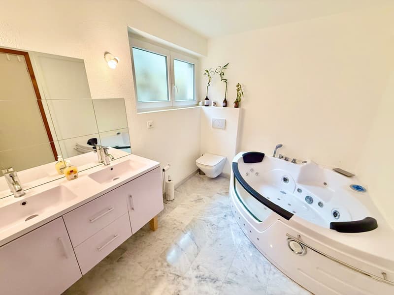 double sink, mirror, toilet, bathtub with jets, tiles