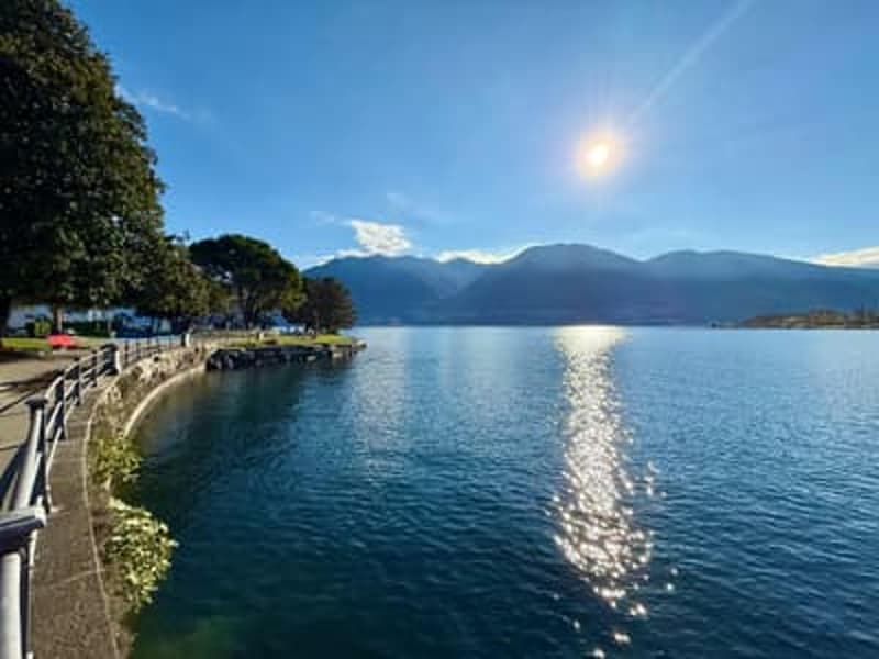 Lakefront with trees and mountains in the background.