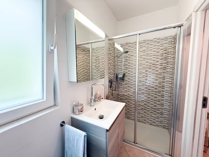 Grand 5,5 pièces avec jardin (16)