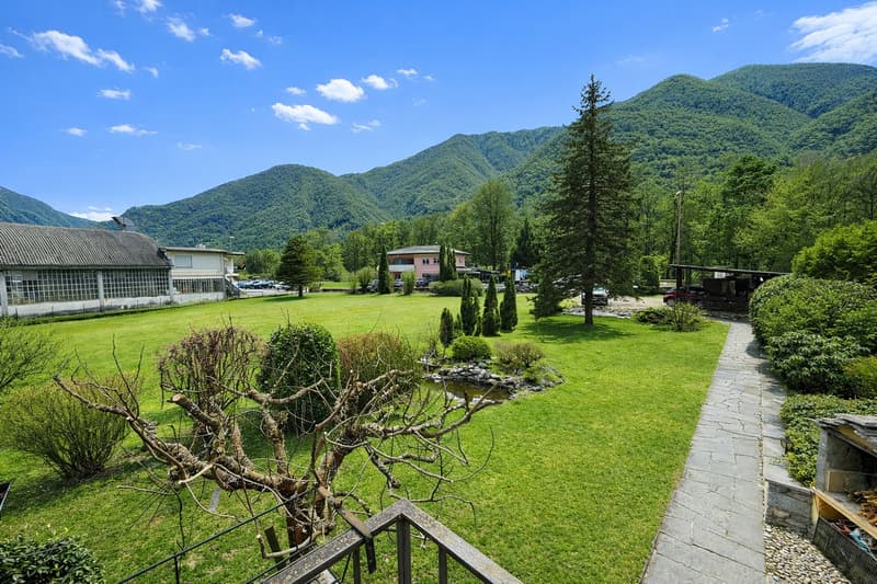 Green garden with various plants, a path leading to a small pond, and distant mountains.