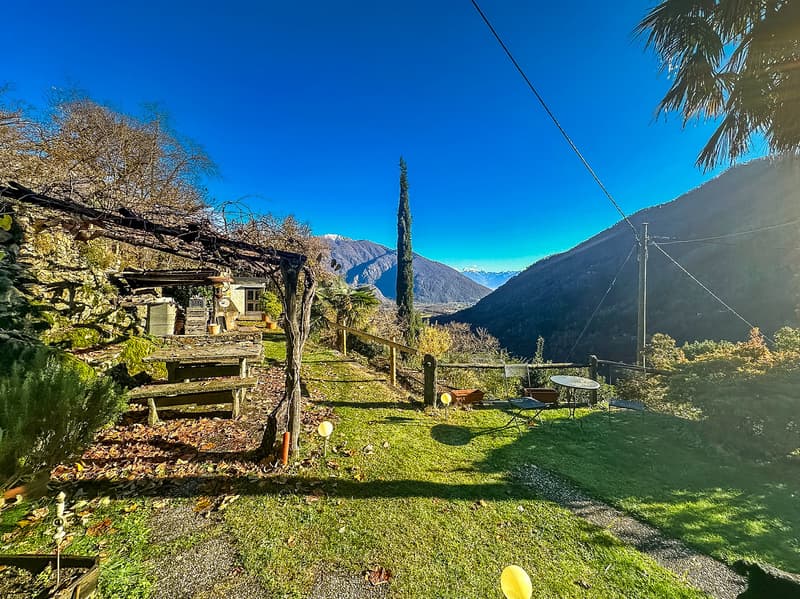 Stone wall, wooden bench, small table, green lawn, trees, mountains in the background