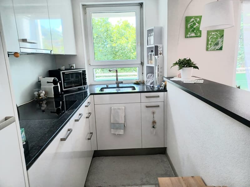 modern kitchen with white cabinets, black countertops, stainless steel sink, microwave, toaster, and a window with a view