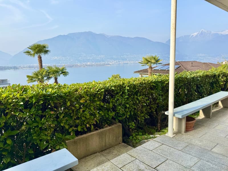 Outdoor seating area with benches, hedges, palm trees, lake view, mountains in the background