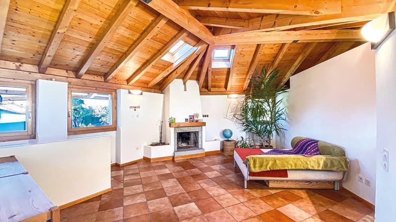wooden ceiling, fireplace, tiled floor, couch, plant, windows