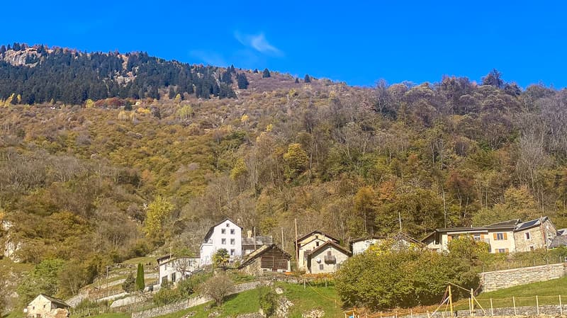 Houses on a hillside, surrounded by trees and mountains, clear blue sky