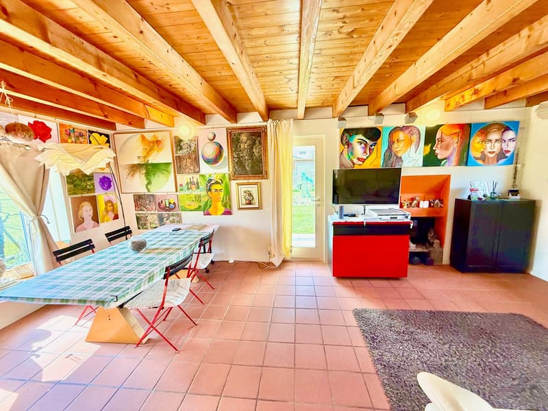 Dining room with wooden ceiling, dining table, chairs, paintings on the wall, TV, rug, cabinet, and shelves