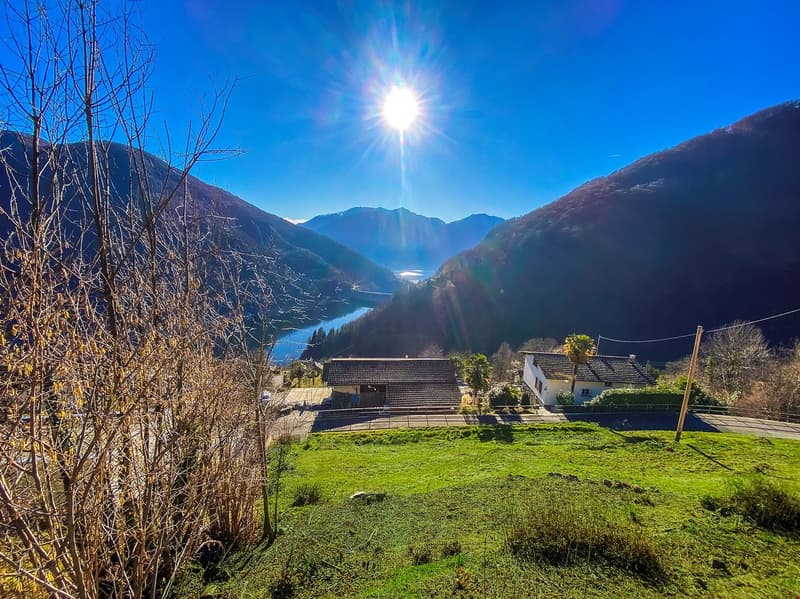 Green grass, two houses, mountains, lake, clear sky, sun