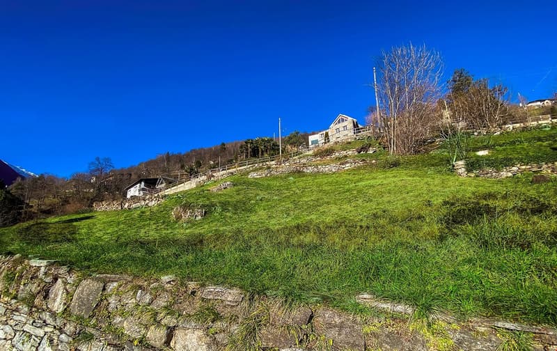 Green grass, stone wall, trees, houses in the background, clear blue sky
