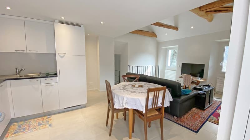 modern kitchen with white cabinets, dining area with table and chairs, living area with couch, TV, and rug