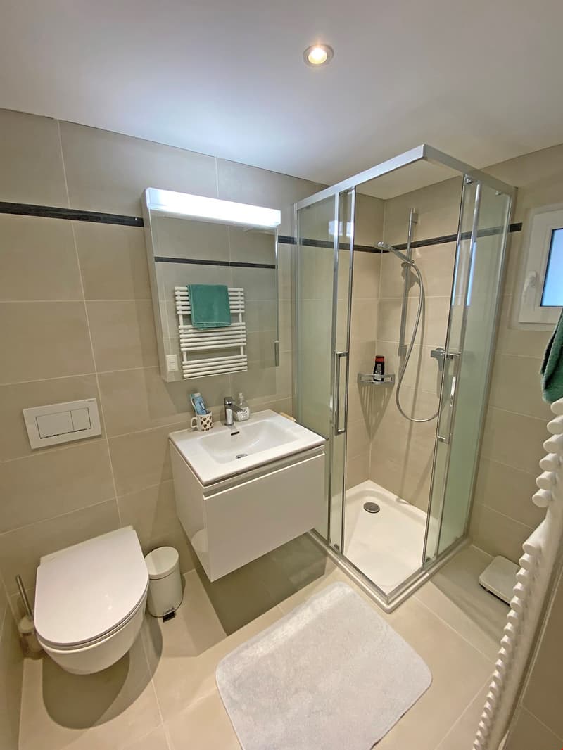 modern bathroom with white tiles, glass shower, white sink, white toilet, towel rack, mirror, and a small rug