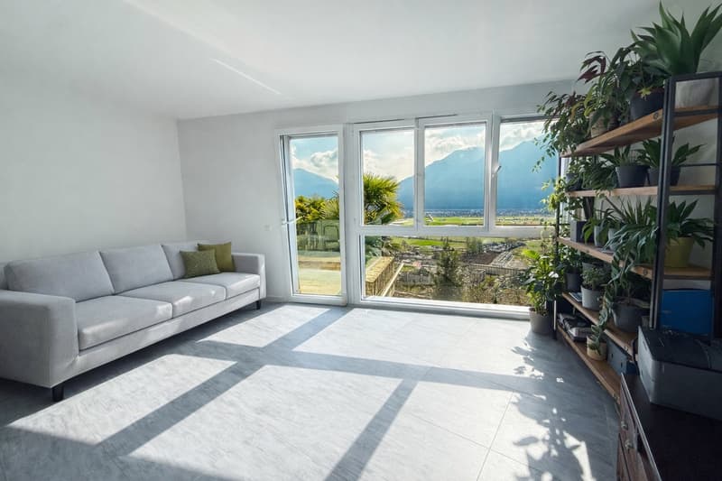 modern living room with large windows, gray couch, green pillows, tiled floor, large plant shelf