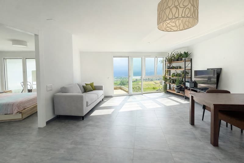 open living room with couch, dining table, TV, sliding glass doors, balcony, plants, tiled floor