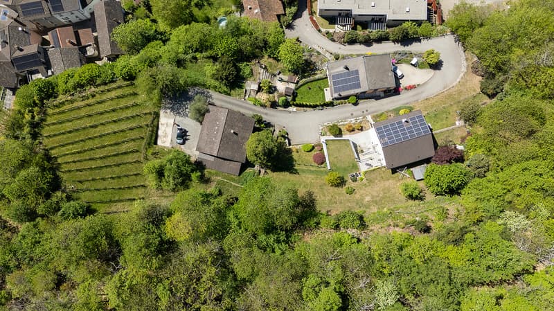 Haus zur Renovierung in Hügelposition auf bebaubarem Grundstück (4)