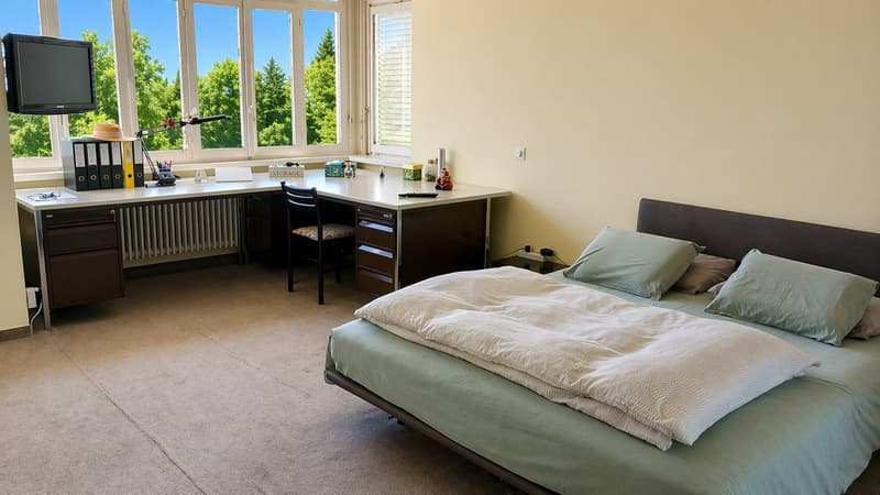 Mieten oder Kaufen - Einfamilienhaus mit Garten und Pool (12)