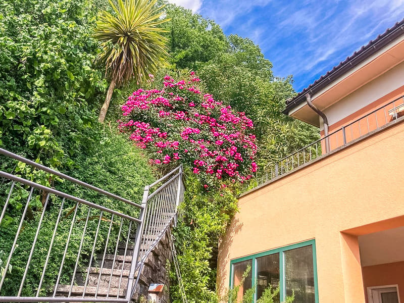 Zweitwohnsitz , Lago Maggiore, Tessin: Anwesen mit atemberaubendem Seeblick (7)