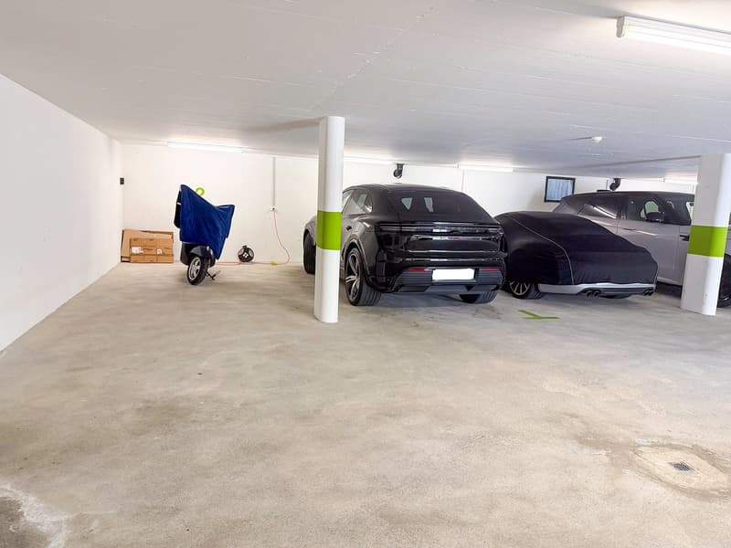 Appartamento 3.5 locali con giardino e vista panoramica sul lago (29)