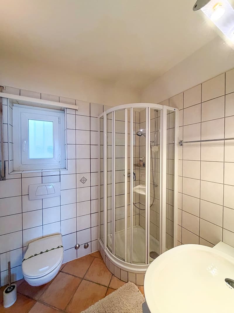 Charmante 1.5-Zimmer-Wohnung mit Panoramablick in Orselina (9)