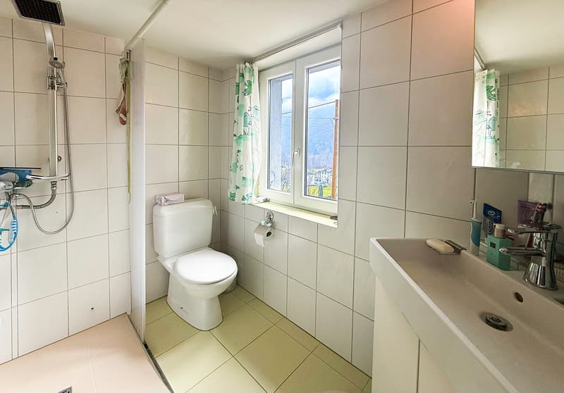 Typisches Tessiner Haus mit Stall, Grotte, Garage, Keller und Wald (7)