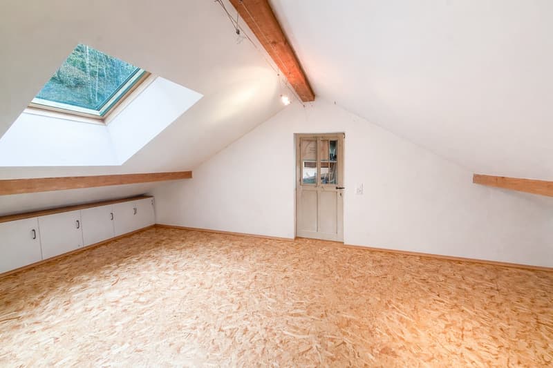 Typisches Tessiner Haus mit Stall, Grotte, Garage, Keller und Wald (10)