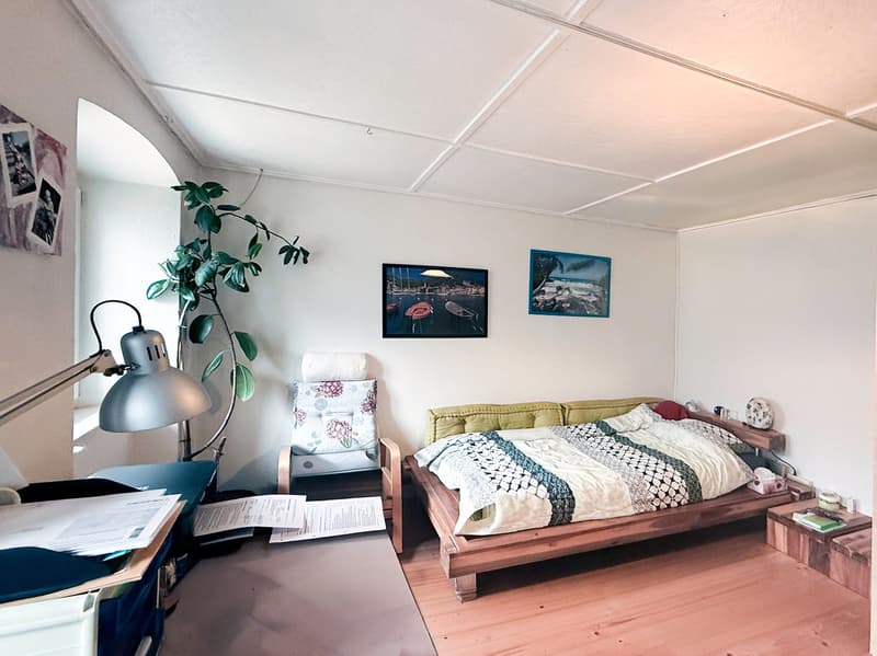 Typisches Tessiner Haus mit Stall, Grotte, Garage, Keller und Wald (5)