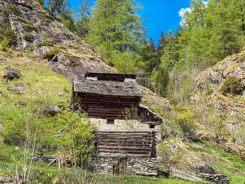 Lavizzara-Tal Rustico/Stallgebäude zur Renovation (1)
