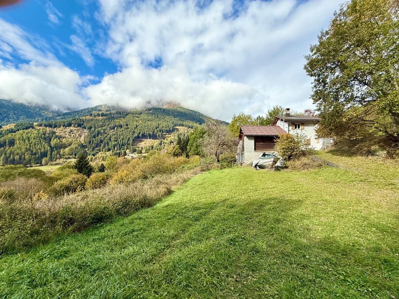 Alpine Berghütte auf 900 m mit Privatzugang und 21.000 m² Land (3)