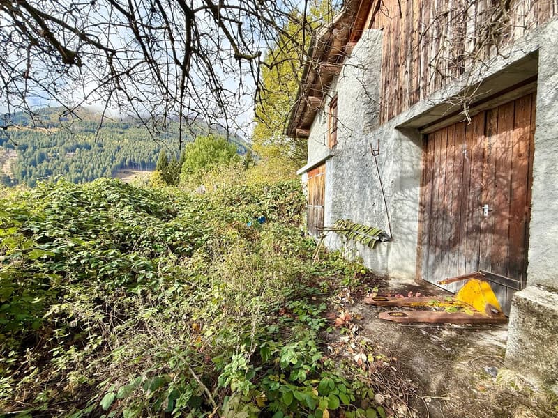 Alpine Berghütte auf 900 m mit Privatzugang und 21.000 m² Land (11)