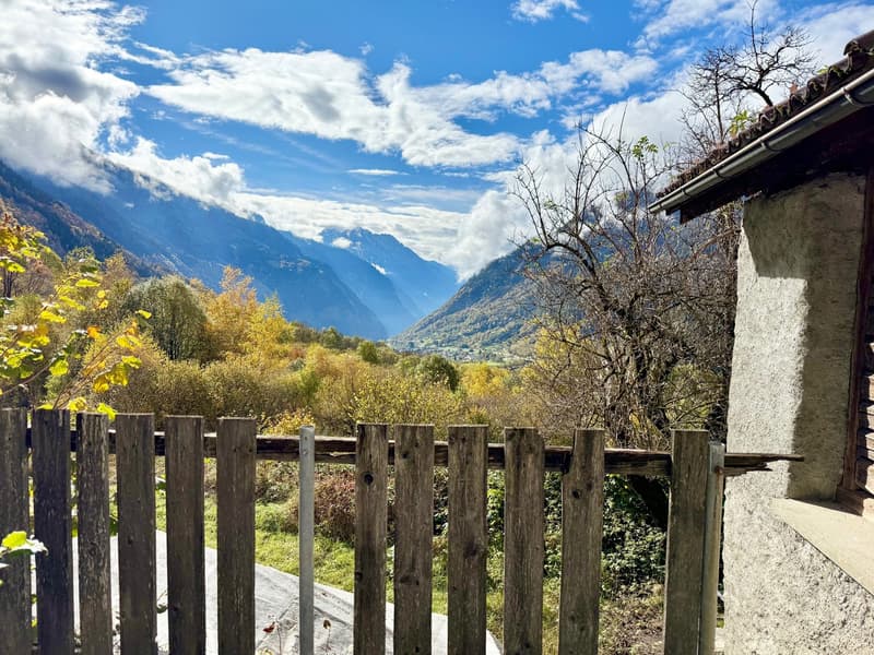 Alpine Berghütte auf 900 m mit Privatzugang und 21.000 m² Land (13)
