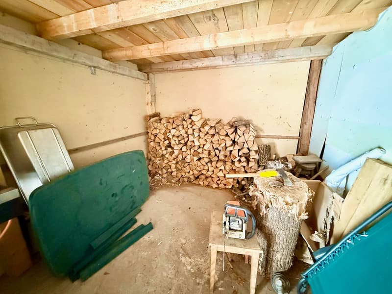 Alpine Berghütte auf 900 m mit Privatzugang und 21.000 m² Land (9)