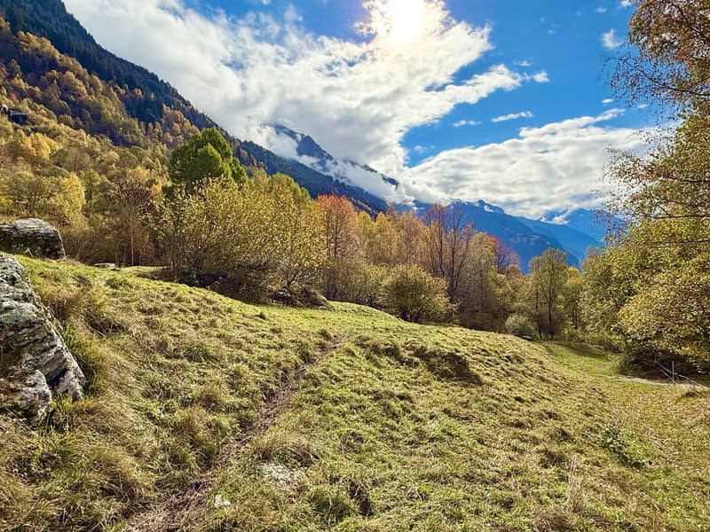 Alpine Berghütte auf 900 m mit Privatzugang und 21.000 m² Land (12)