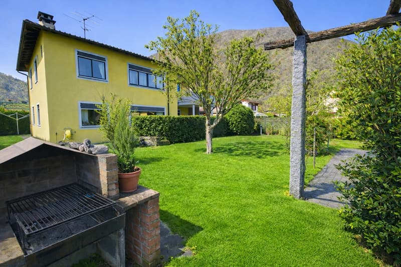green lawn, brick barbecue, potted plant, yellow house, mountain in the background