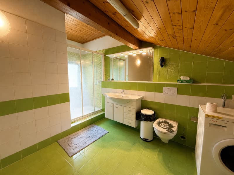 Grande Casa Bifamiliare di 9 locali da rinnovare, con terreno edificabile (23)