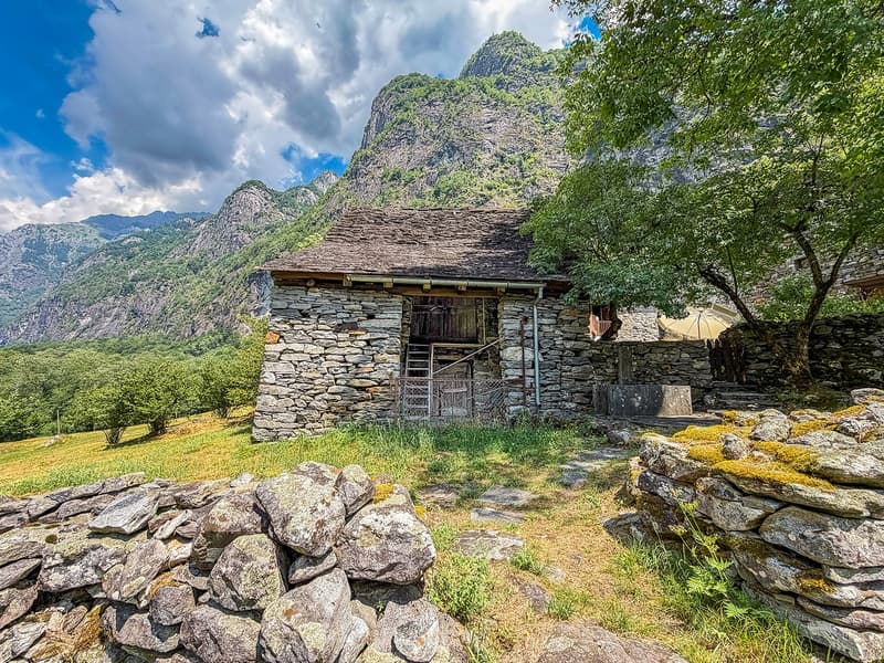 Rustico zum Renovieren mit bauland (8)