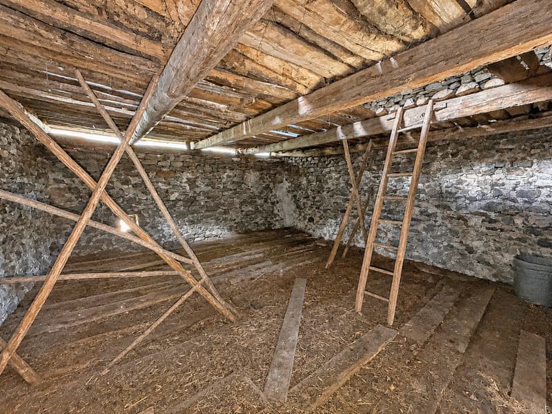 Rustico zum Renovieren mit bauland (5)