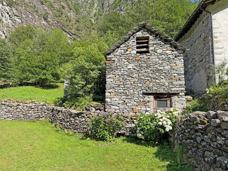 2 Rustico zum Renovieren mit bauland (2)