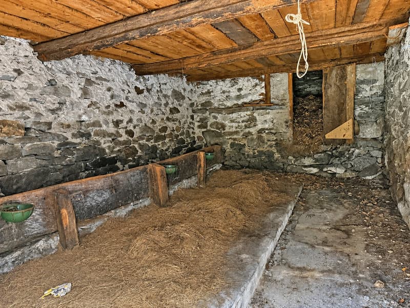2 Rustico zum Renovieren mit bauland (5)