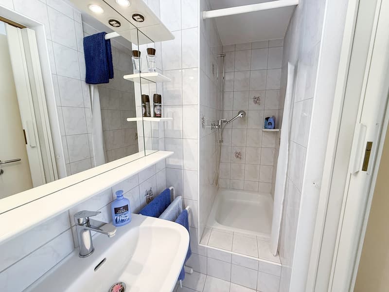 Appartement mit 4.5 Zimmern und freier Sicht in Tenero-Contra (15)