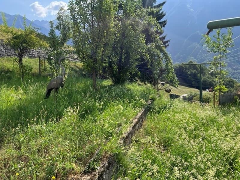 Casa unifamiliare di 7.5 locali a Marolta (31)
