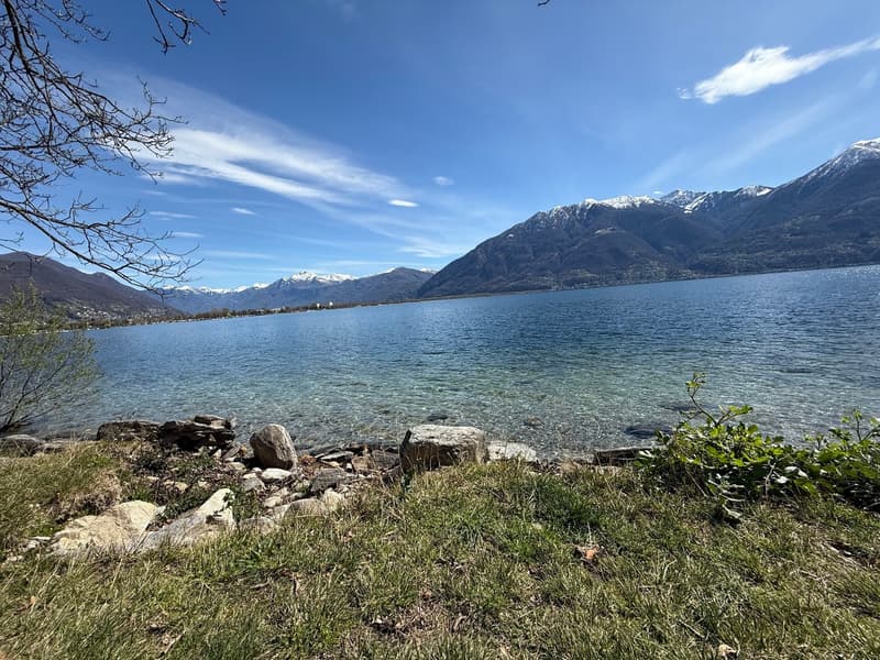 4.5 con vista panoramica - 4.5 mit Panorama-Aussicht (16)