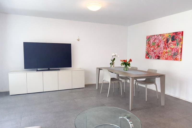 Appartamento 4.5 locali con grande terrazza coperta e giardino privato (9)