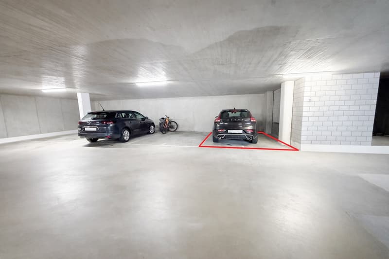 Appartamento 4.5 locali con grande terrazza coperta e giardino privato (18)