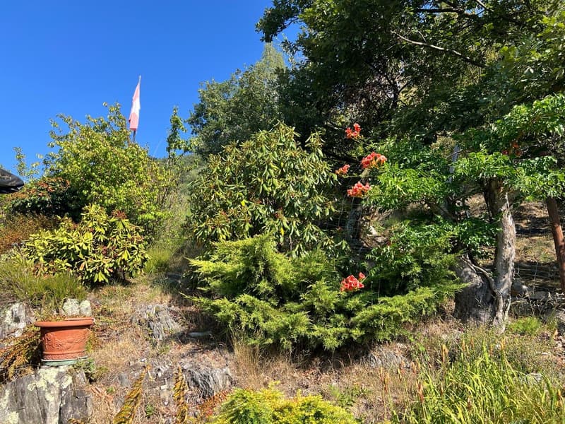 A retreat in the Ticino mountains – Rustico with breathtaking views (6)