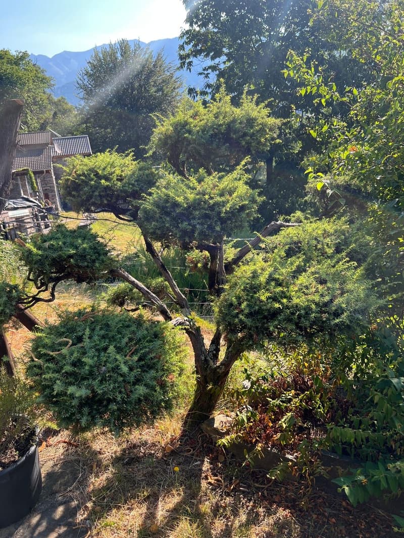 A retreat in the Ticino mountains – Rustico with breathtaking views (16)